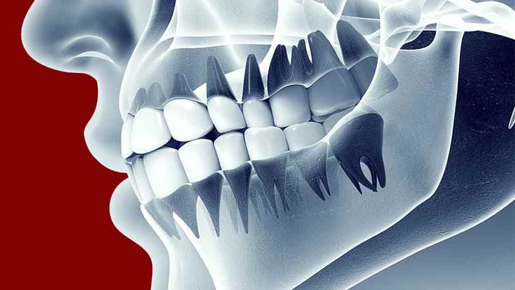 معرفی بهترین متخصص رادیولوژی دهان و دندان در شیراز ⭐️【آپدیت1403】